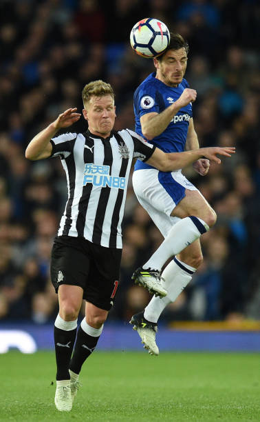 仅将耐人寻 仅将耐人寻